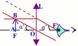 loupe 